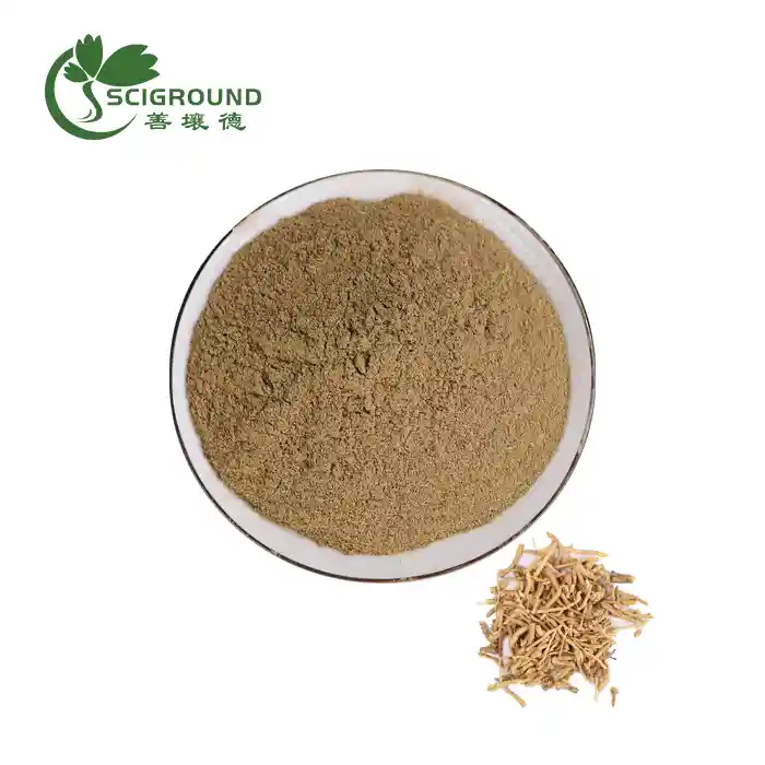 Polygala Tenuifolia Root Extract